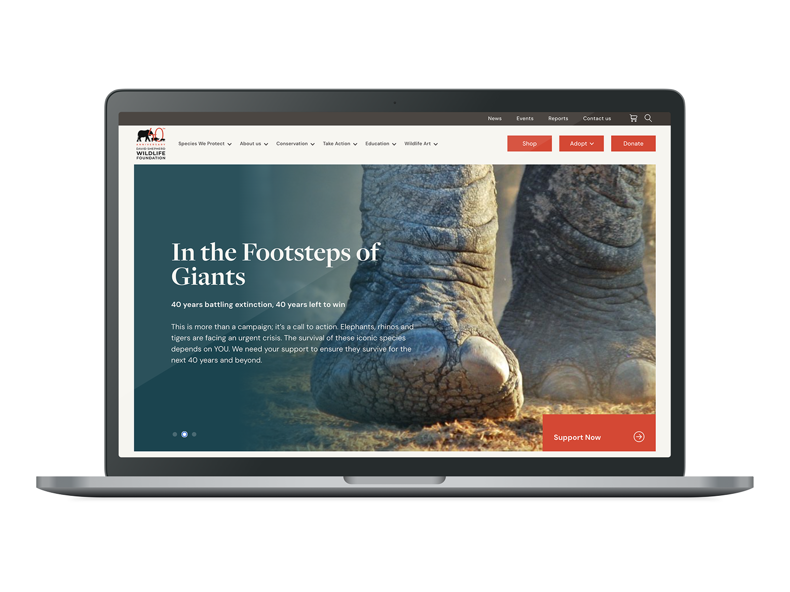 Screenshot of the David Shepherd Wildlife Foundation website by StrategiQ